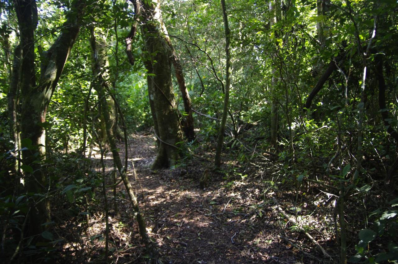 Nafre House B&B Monteverde Luaran gambar